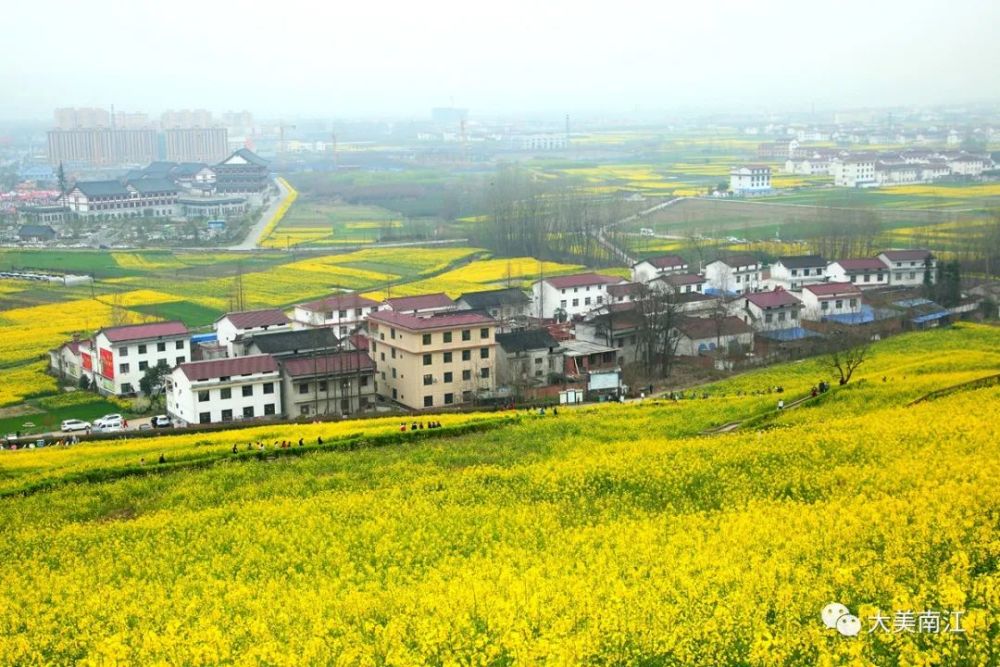 5公里的龙山步道观花点,这是一座具有洋县旅游特色的油菜花主题观景山