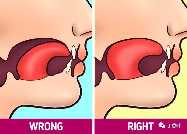 正确的姿势是始终让您的舌头抵住嘴的顶部,包括其底部的三分之一.