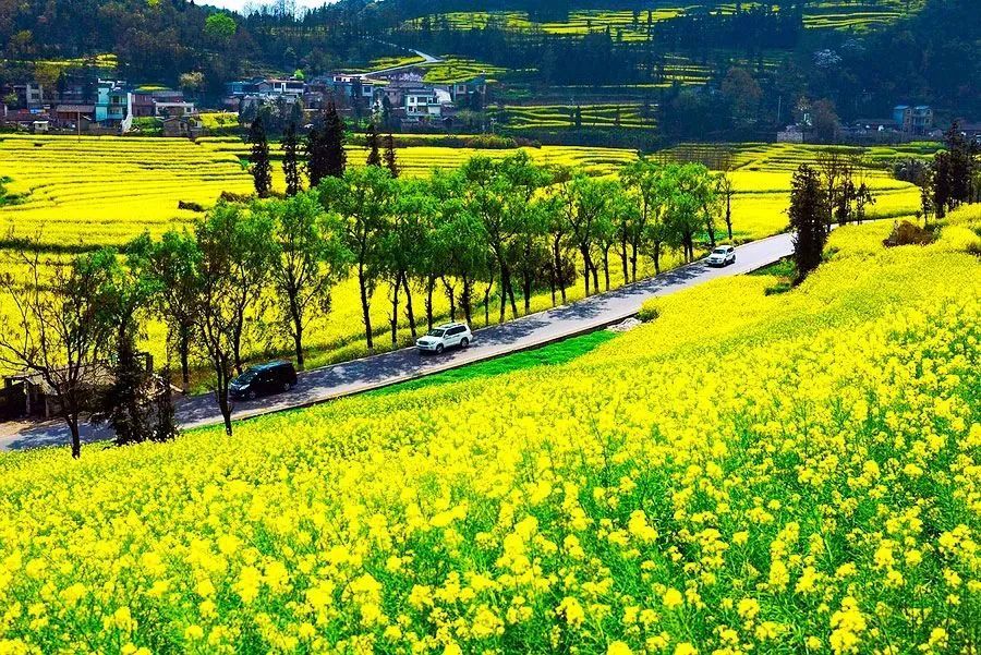 我国十大绝美风景,处处都是好风光
