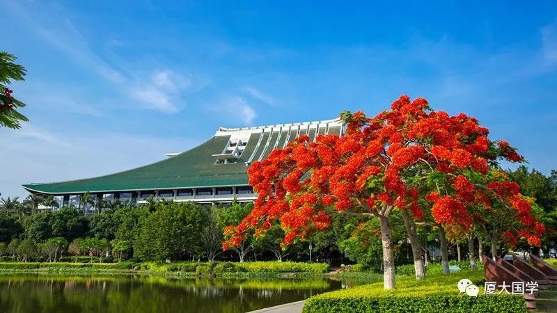 注3:厦大校花凤凰花 凤凰花是厦门大学的校花.