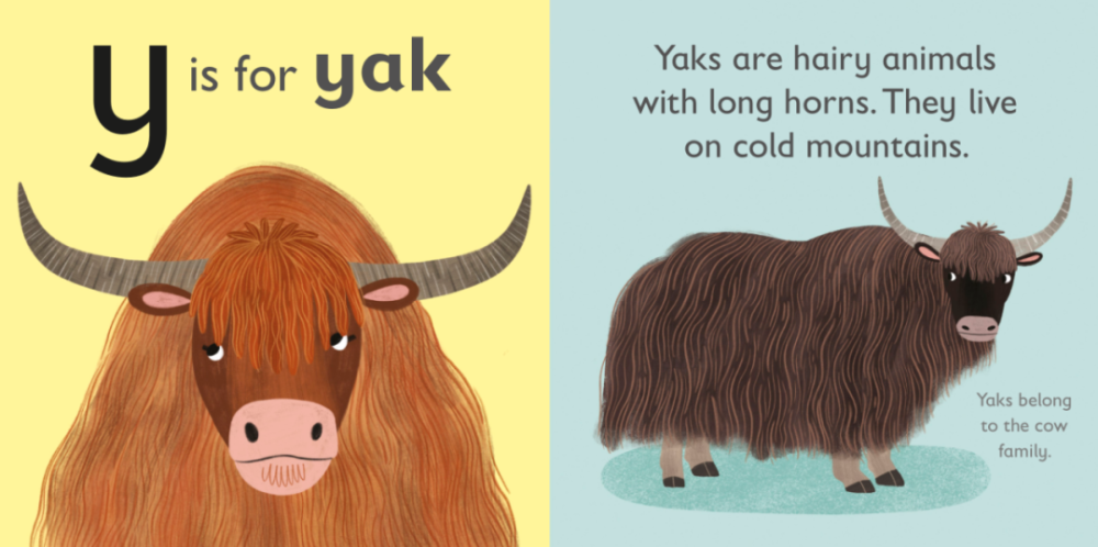 yak milk(牦牛奶), wild yaks(野生牦牛), farm yaks(农场牦牛).