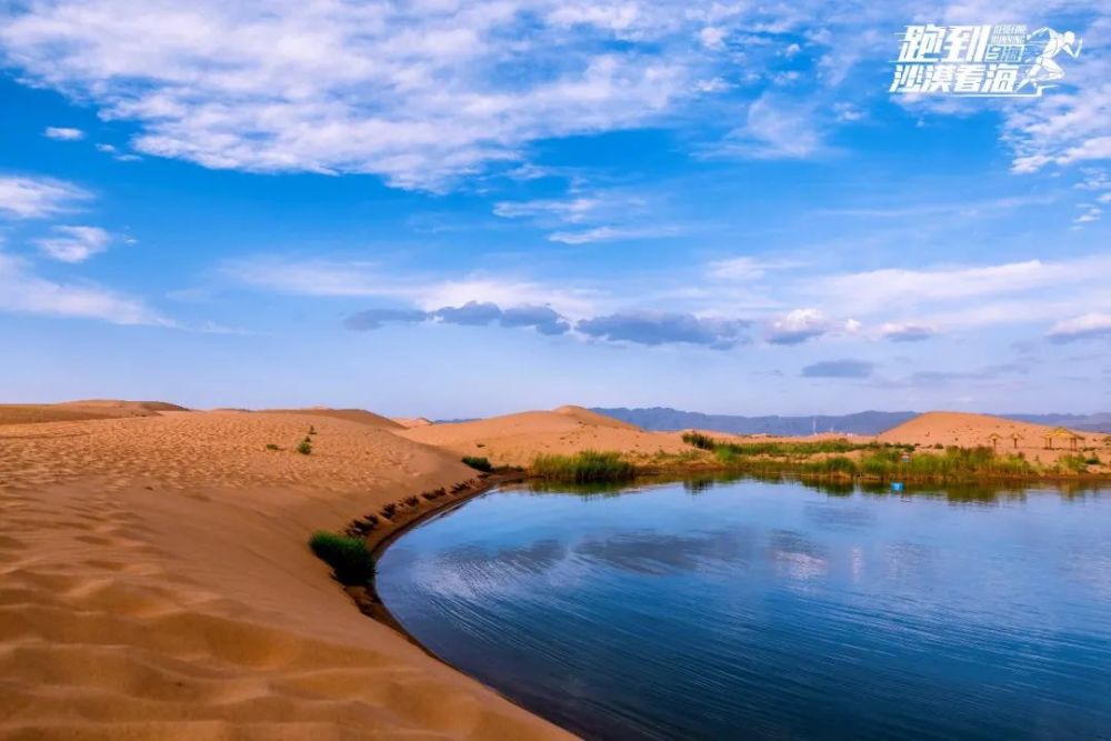爱上与沙漠相拥的乌海湖 故乡是王涌龙的诗和远方