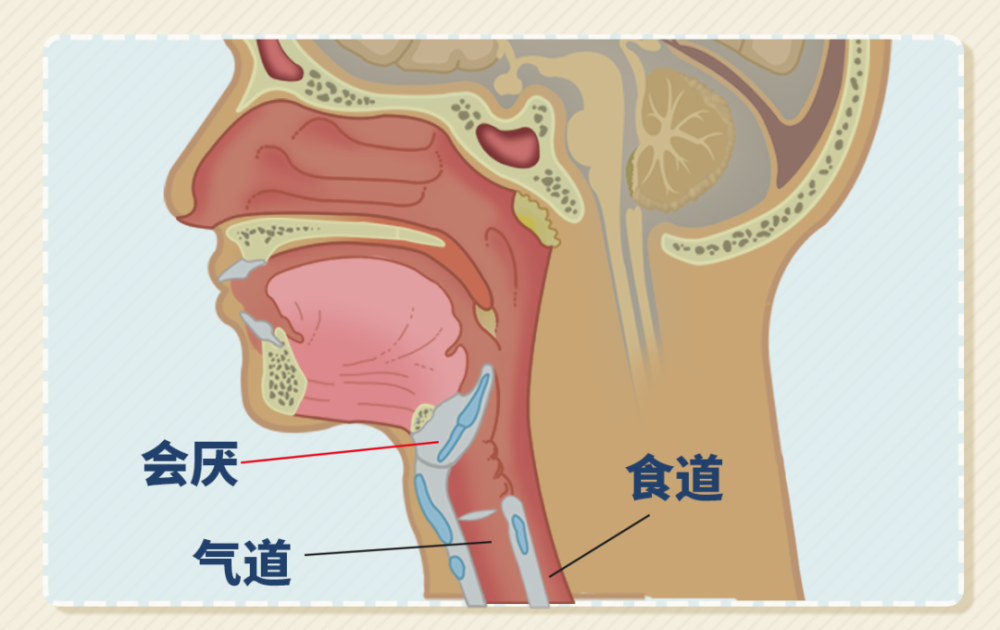 喉咙干,喉咙痛?多喝水可不够!