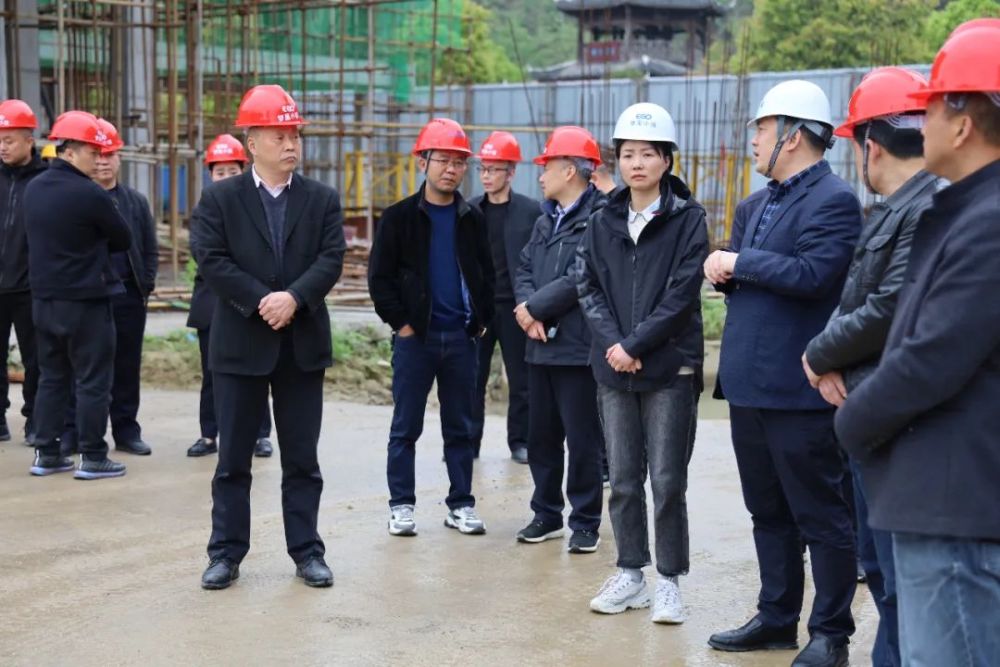 宣恩县长习覃到梦巢小镇建设现场考察调研