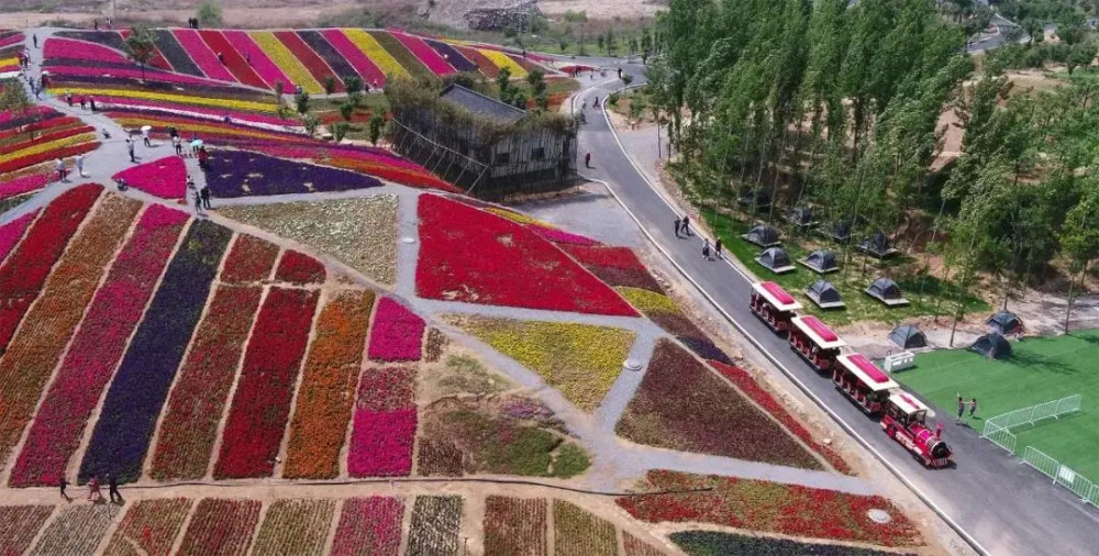 保定人:清明节旅游好去处,踏青赏花正当时!