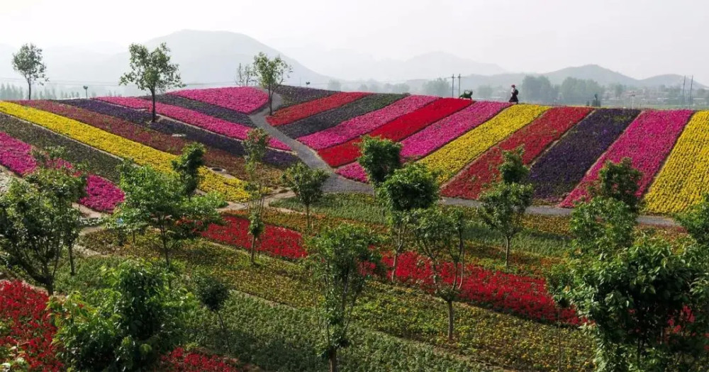 保定人:清明节旅游好去处,踏青赏花正当时!