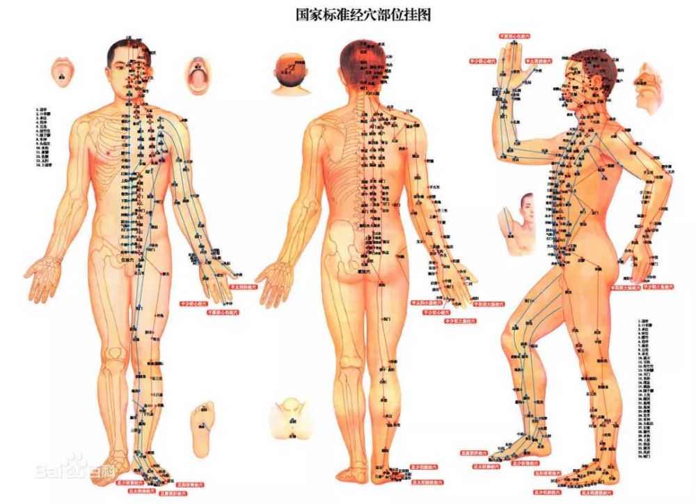 筋长一寸 寿延十年:洗髓开筋法,缓解身体各种亚健康