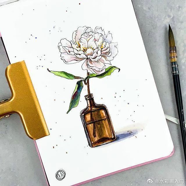 钢笔淡彩|做一本花卉册页