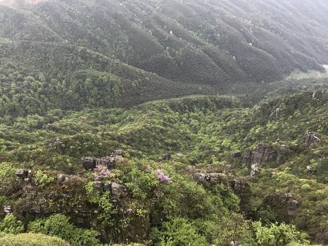 洞口县知名旅游景区介绍