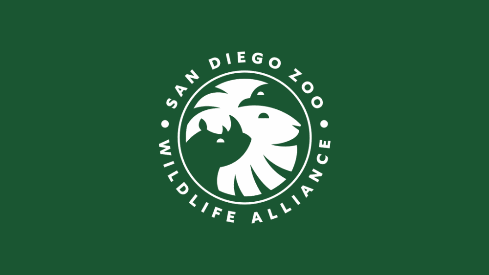 数一数藏了几只动物圣地亚哥动物园野生动物联盟新logo