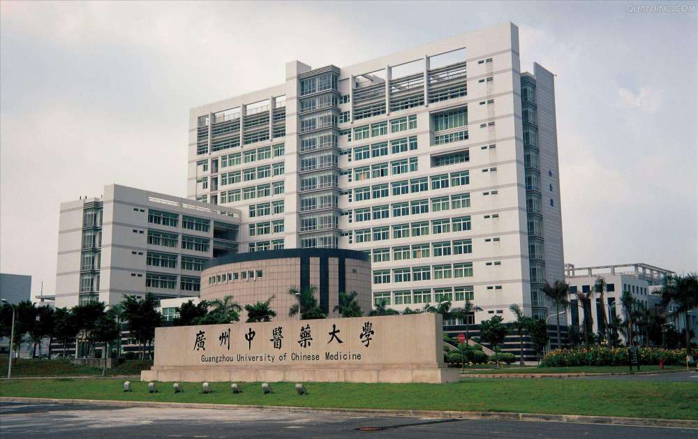 2021年广东经济总量_广东区域经济分布(3)