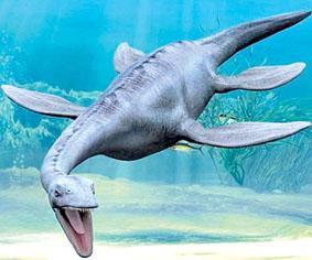 与恐龙同时期存在的海洋爬行物种包括:鳄鱼,蛇颈龙,上龙,沧龙和鱼龙等