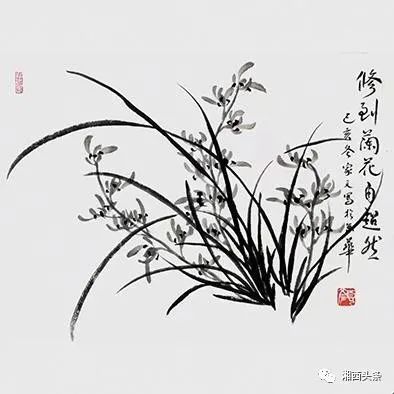 颜家文的部分兰花画作