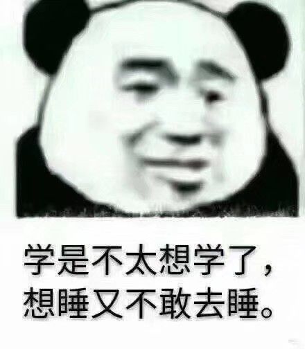 "属于学习人吐槽学业繁忙的表情包"