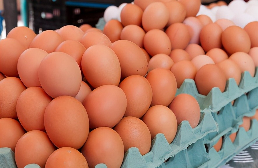 买鸡蛋时买红壳还是白壳鸡蛋好养殖户说漏嘴别再被忽悠了