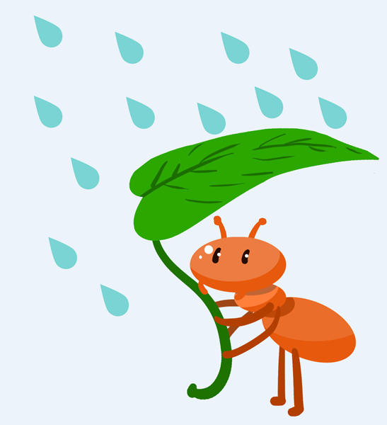 【真科学】蚂蚁搬家要下雨,这到底是经验还是科学?