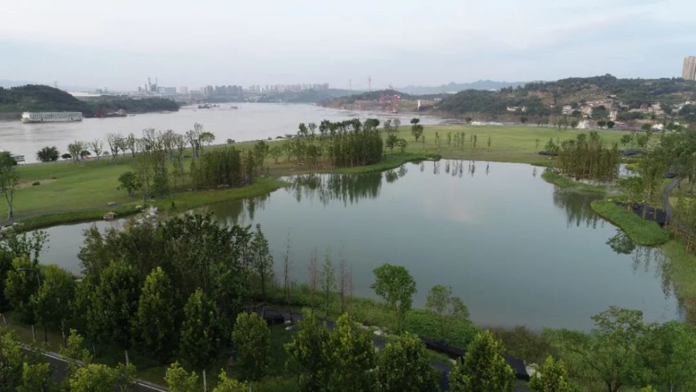 重庆市广阳岛湿地公园图片