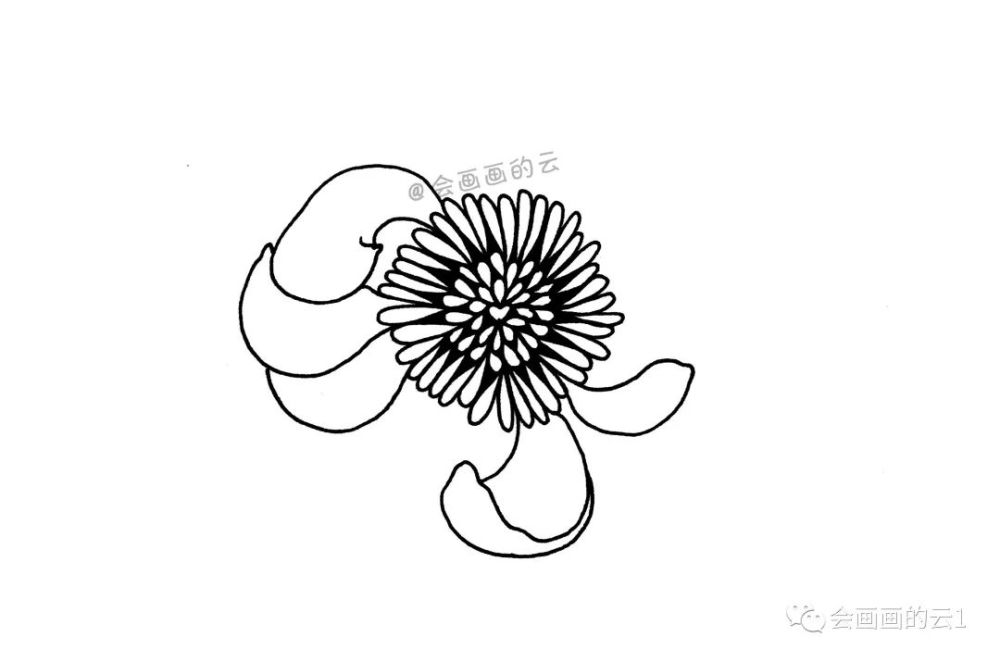 简笔画教程,详细步骤图教你画一朵花,一支笔就可以画