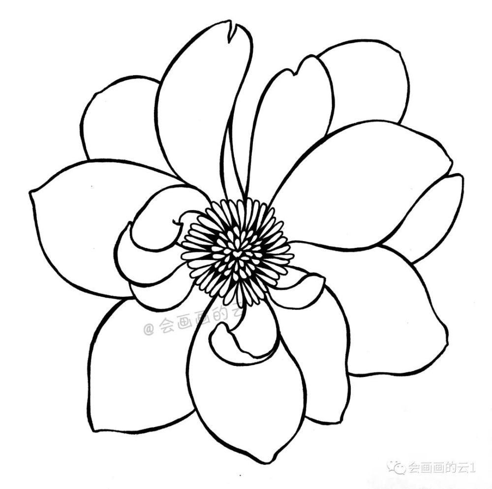 简笔画教程,详细步骤图教你画一朵花,一支笔就可以画