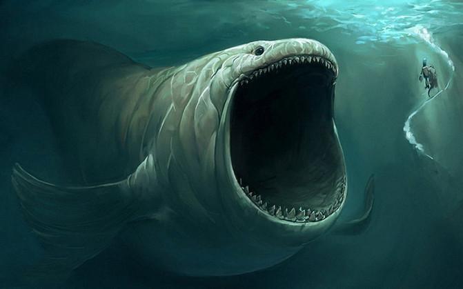 100年出现3次的海怪,被发现在抹香鲸肚子里,证实真实存在