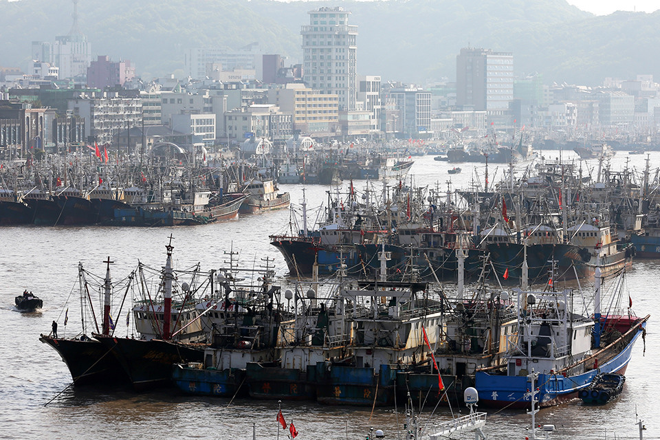 在浙江省舟山市一渔港内拍摄的渔船(图文无直接联系).