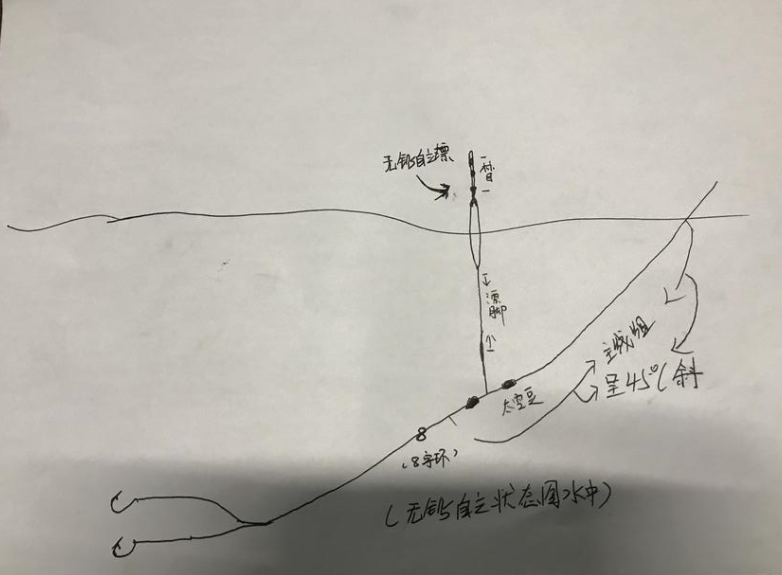 无铅钓法钓大物,好用,真好用,我用这种钓法"斩获"40 大青