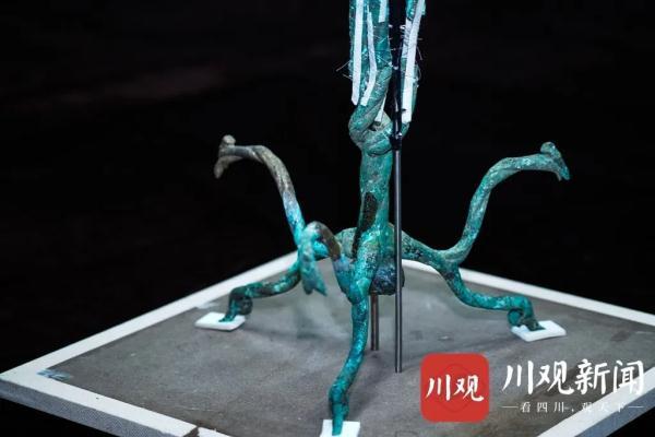 神树排名_秦岭神树