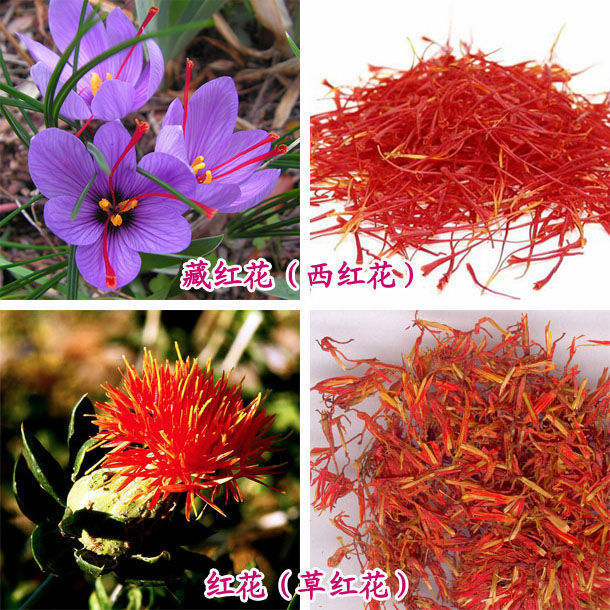 上图是藏红花花丝细节图藏红花入药的部分是藏红花花朵雌蕊柱头,采摘