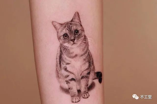 可爱好玩的猫咪纹身