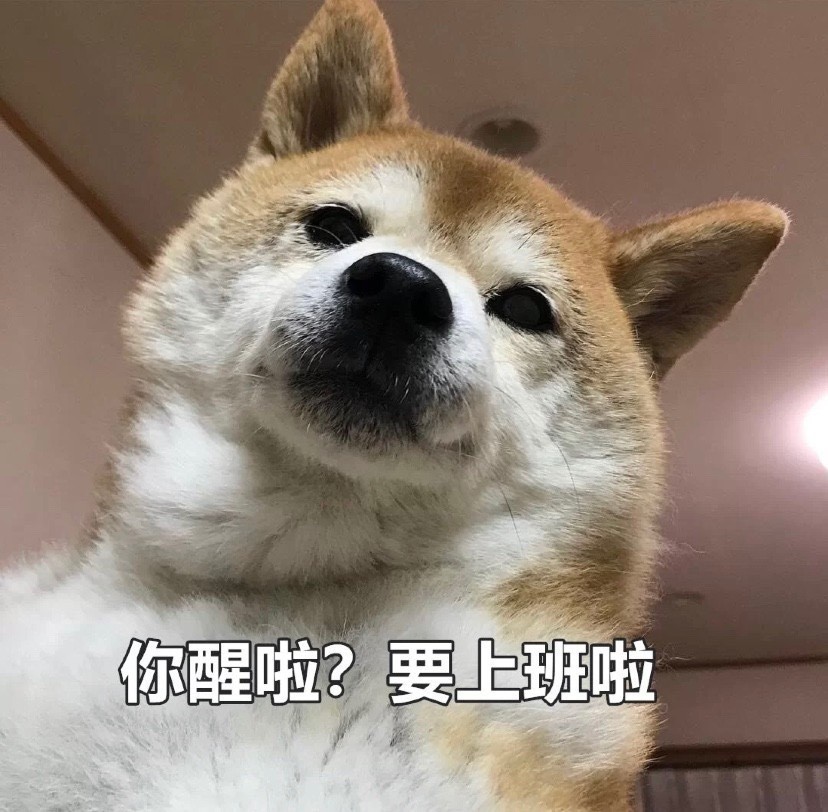 不想上班的文案,表情包