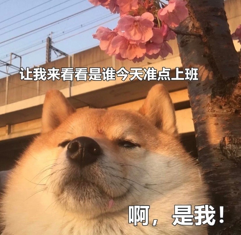 不想上班的文案,表情包