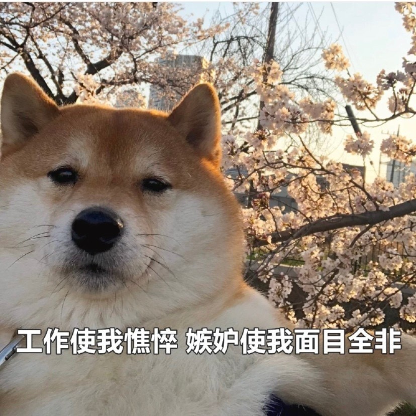 不想上班的文案,表情包