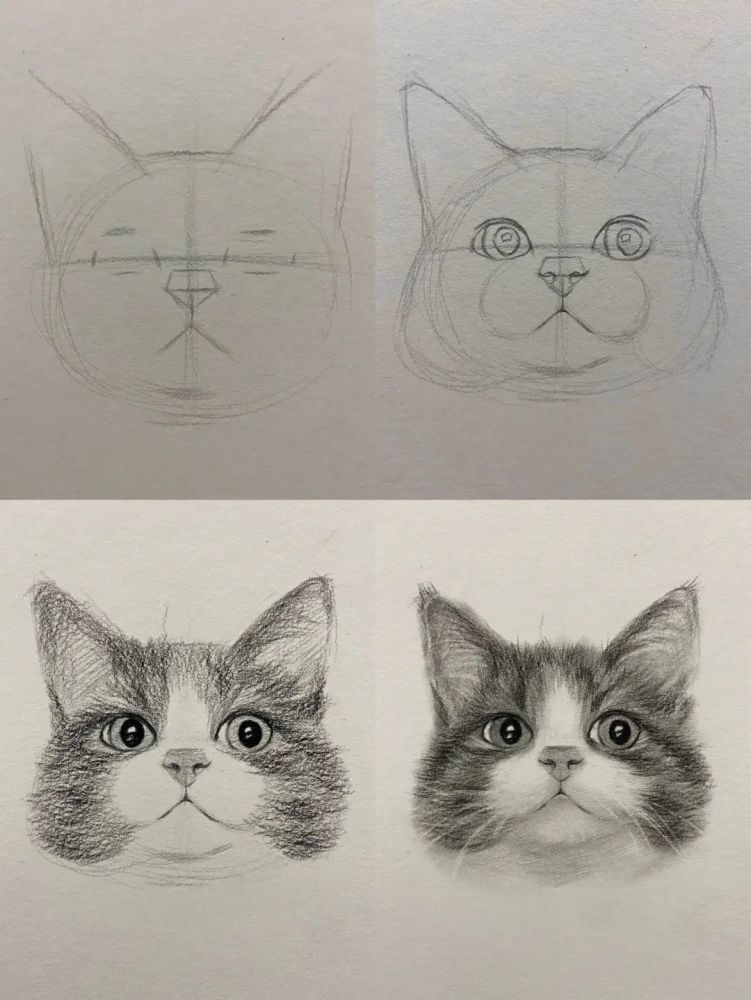 教你用素描画一只可爱猫咪头像!