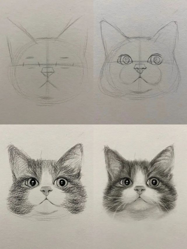 教你用素描画一只可爱猫咪头像!|猫咪|小猫