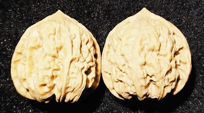 老树结的鸡心核桃较稀缺