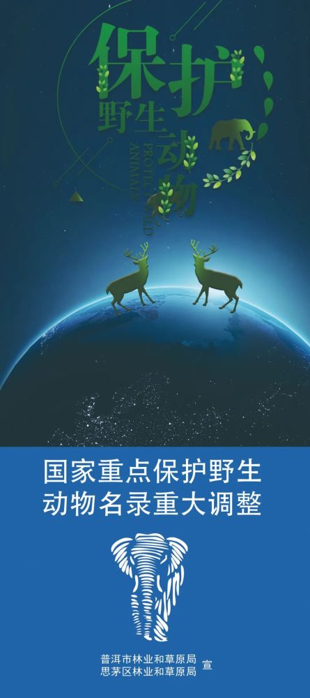 不要乱抓画眉鸟玩了小心触犯法律来看最新国家重点保护野生动物名录