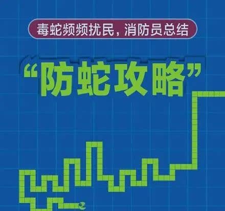 速速收藏~小编准备了一份"防蛇攻略"到底应该怎么办遇到蛇虫特别是