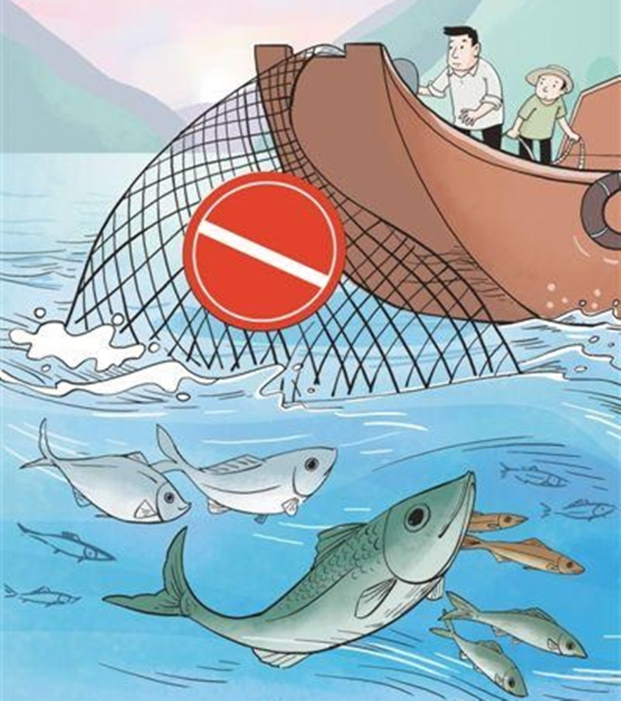 长江禁渔初见成效,神秘生物现身鄱阳湖,专家赶紧制作标本