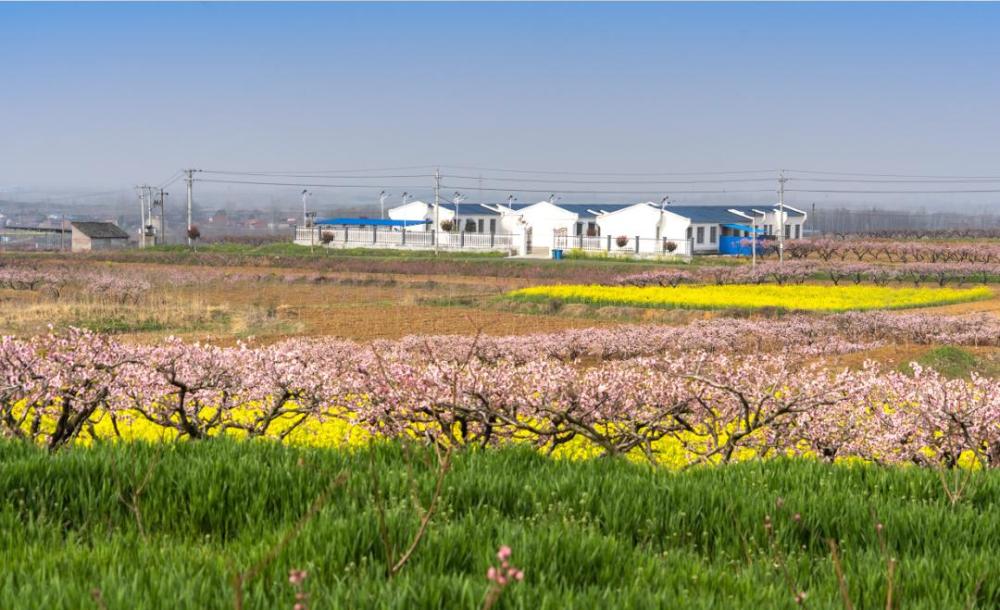 随州市随县唐县镇华宝山村春景