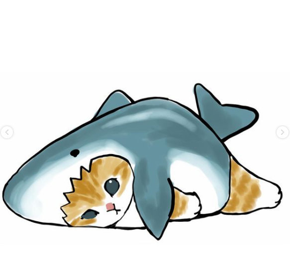 穿鲨鱼服的小猫咪呀