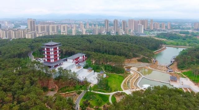 广水gdp_广水地图广水市地图(3)