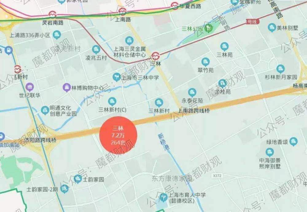 这次的机场联络线,名字就叫"三林南站",实际地点位于这里