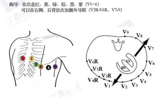 0基础考生也能掌握的心电图判读手册