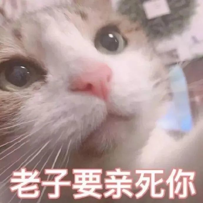 表情包:老子要亲死你