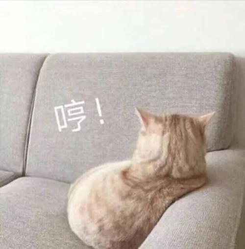 逗憨憨开心的可爱沙雕句子