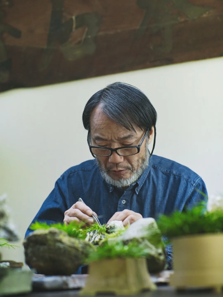 大学教授为一株草建了一座院子造就了一段隐逸东方的静谧风雅