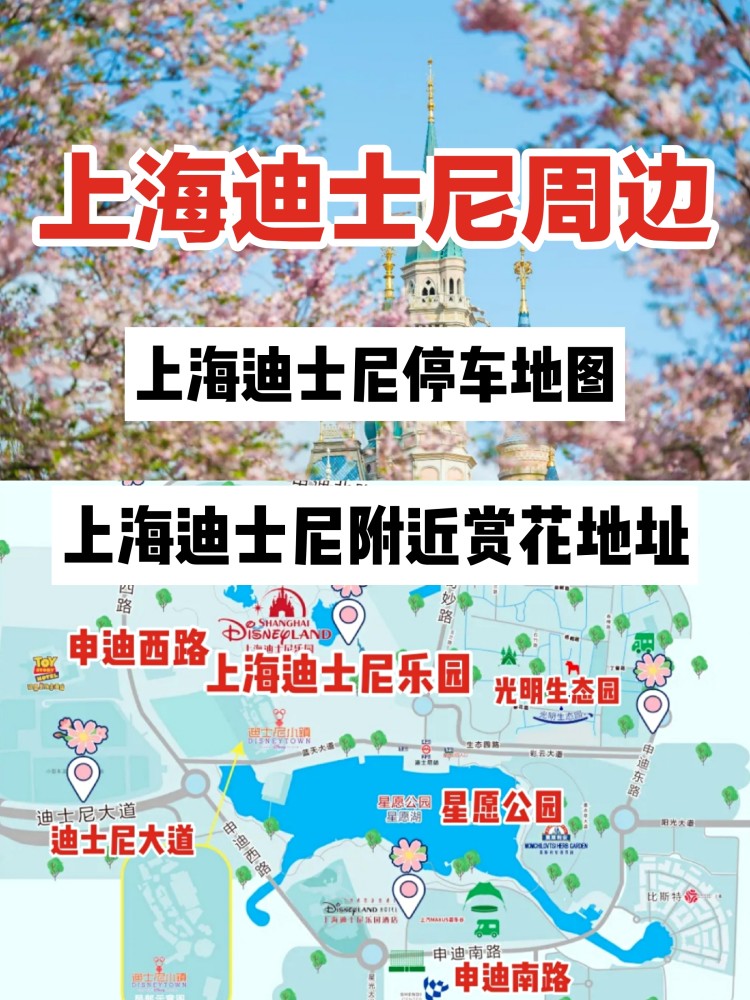 上海迪士尼乐园周边赏花攻略上海迪士尼小镇攻略