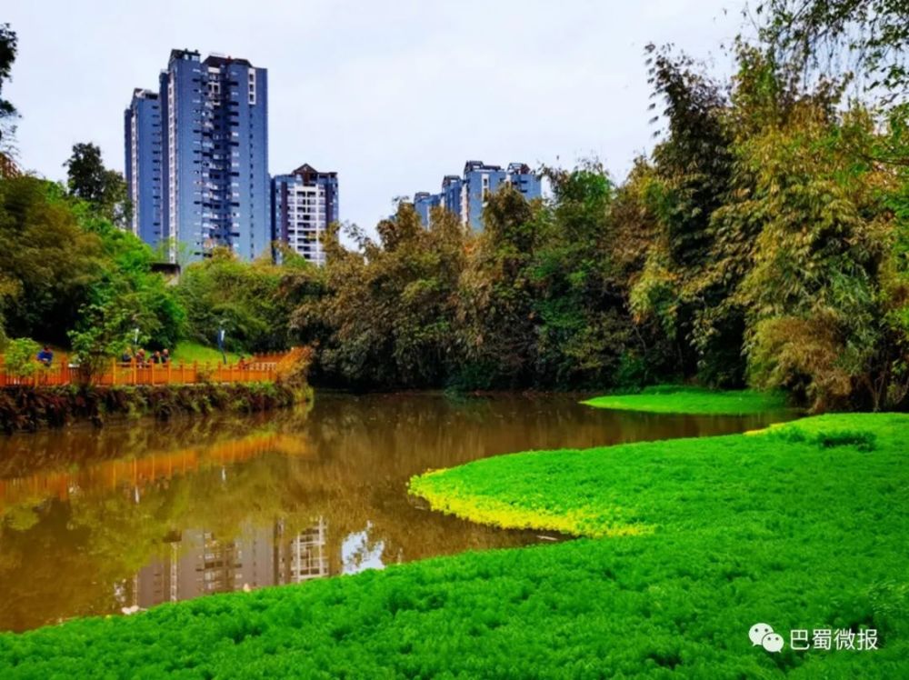 营山湿地公园风景掠影!