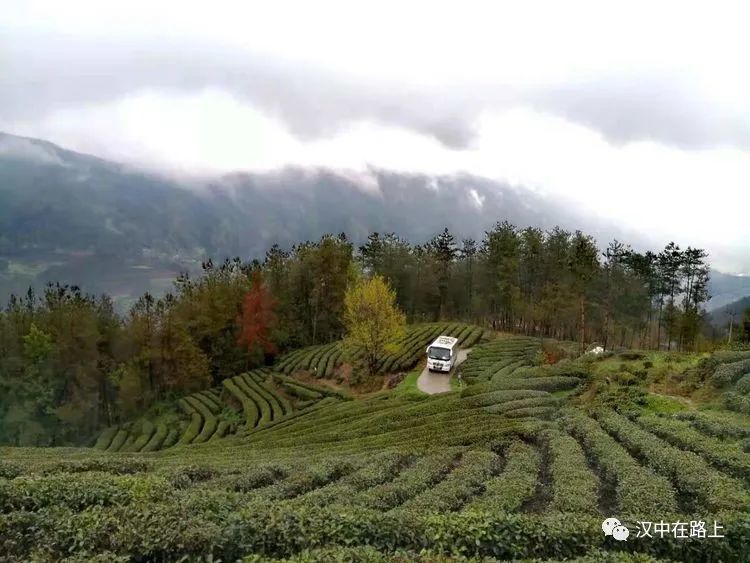 汉中铁炉沟田园美景让人流连忘返