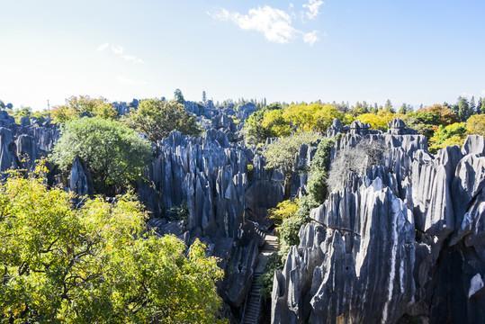 云南乃古石林风景区